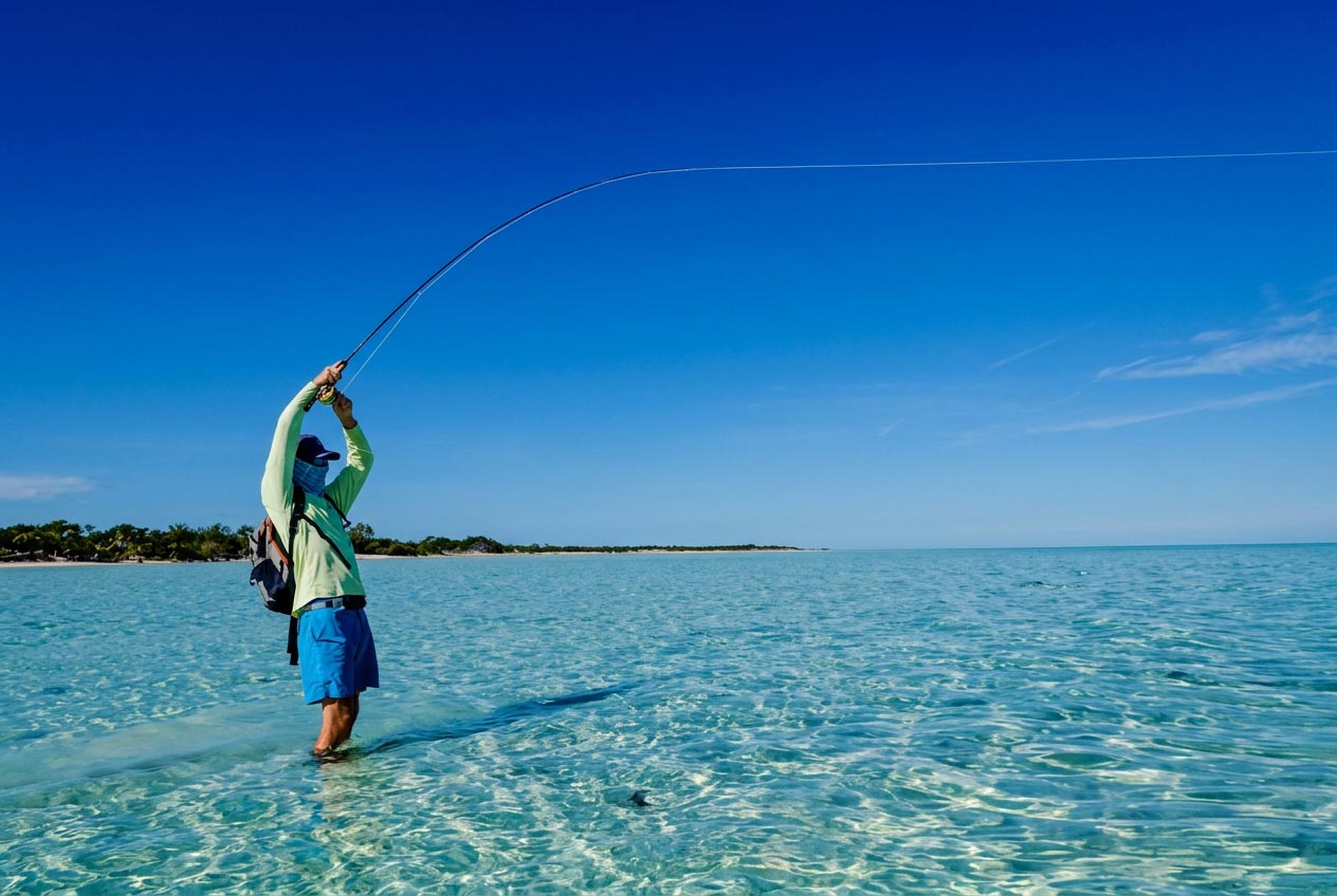 Ein Bonefish macht eine lange Flucht