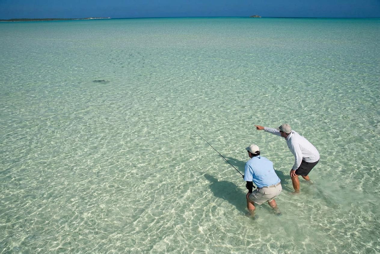 Ein Bonefish wird zurückgesetzt